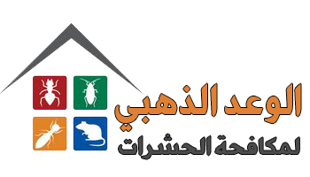 الوعد الذهبي|0582750512