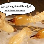 شركة مكافحة الرمة في دبي