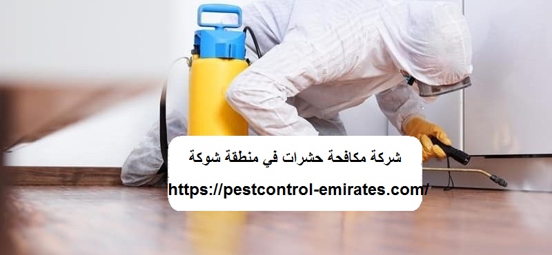 شركة مكافحة حشرات في منطقة شوكة