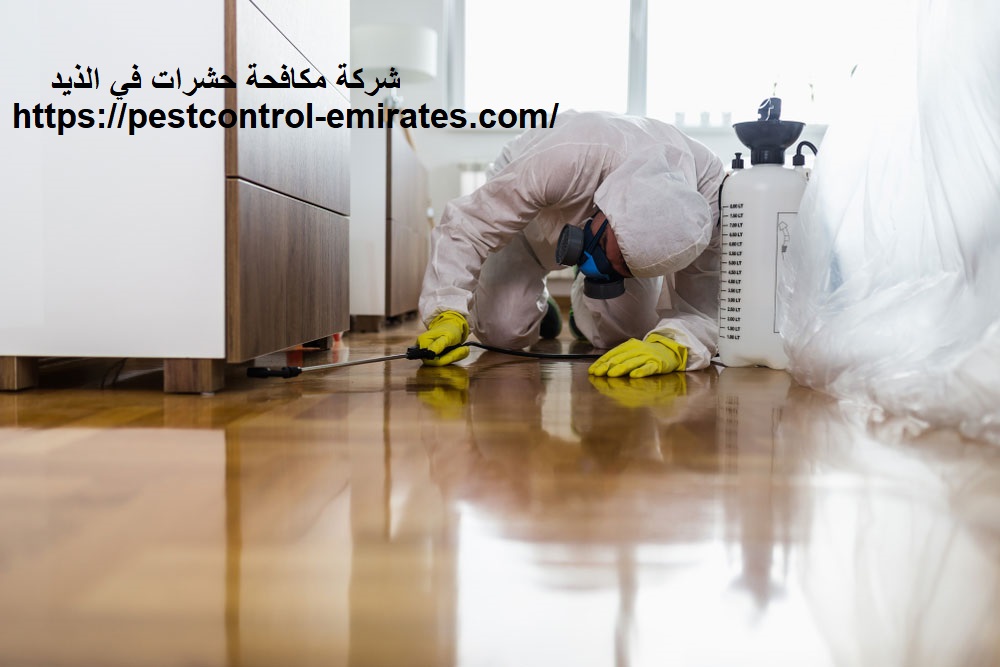 شركة مكافحة حشرات في الذيد