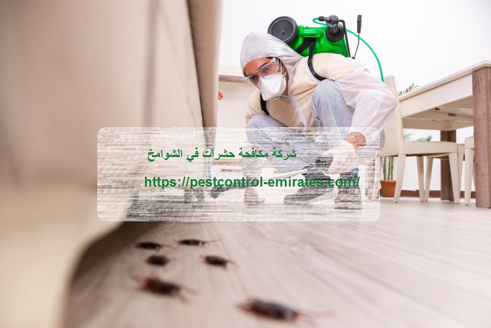 شركة مكافحة حشرات في الشوامخ