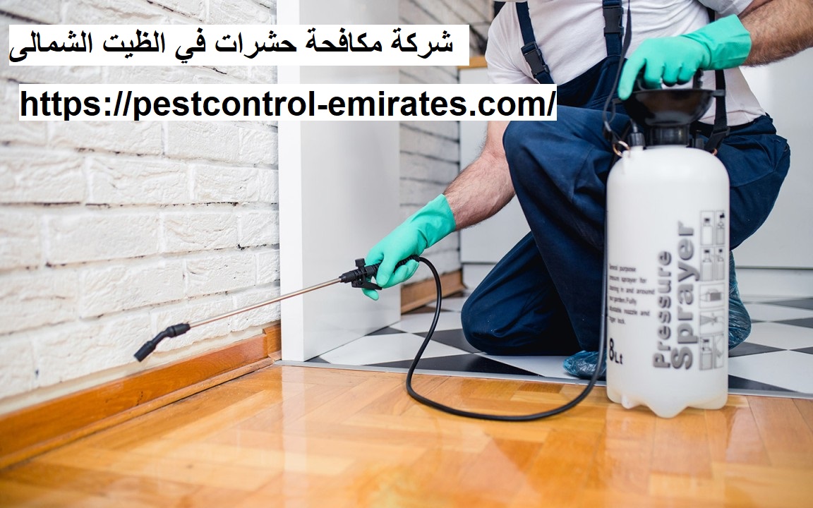 شركة مكافحة حشرات في الظيت الشمالى