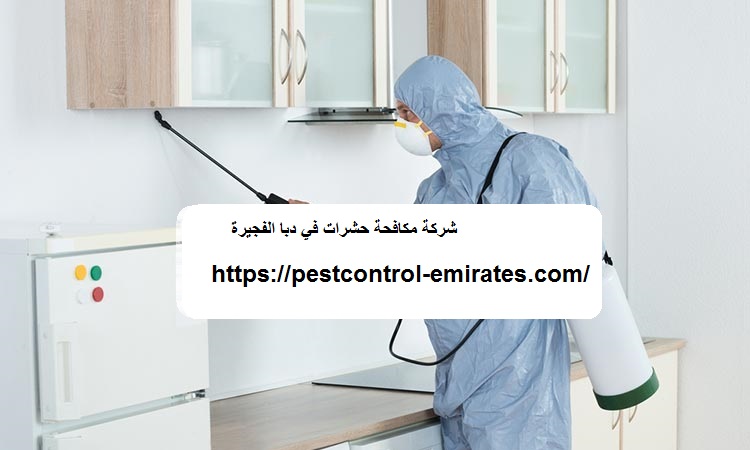 شركة مكافحة حشرات في دبا الفجيرة
