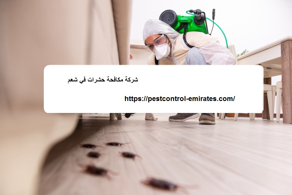 شركة مكافحة حشرات في شعم