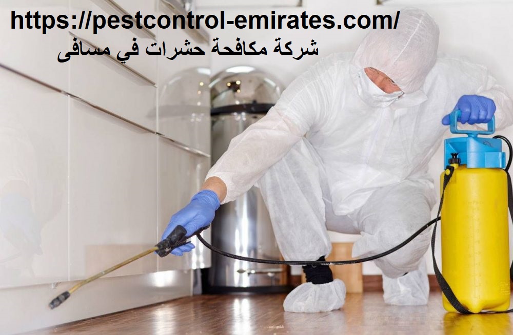شركة مكافحة حشرات في مسافى