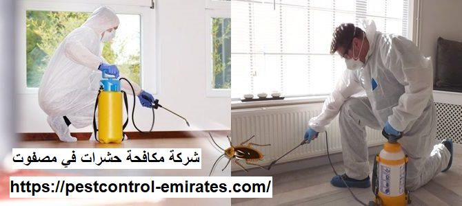 شركة مكافحة حشرات في مصفوت