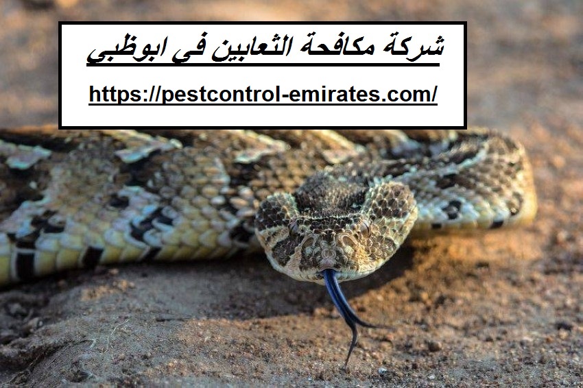 شركة مكافحة الثعابين في ابوظبي