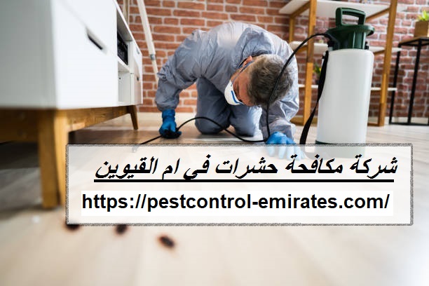 شركة مكافحة حشرات في ام القيوين