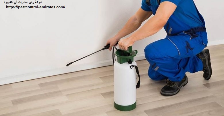 شركة رش حشرات في الفجيرة