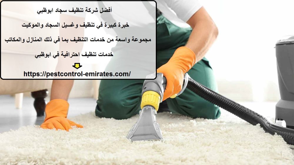 أفضل شركة تنظيف سجاد ابوظبي