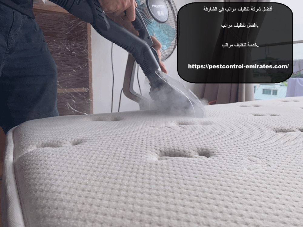 أفضل شركة تنظيف مراتب في الشارقة