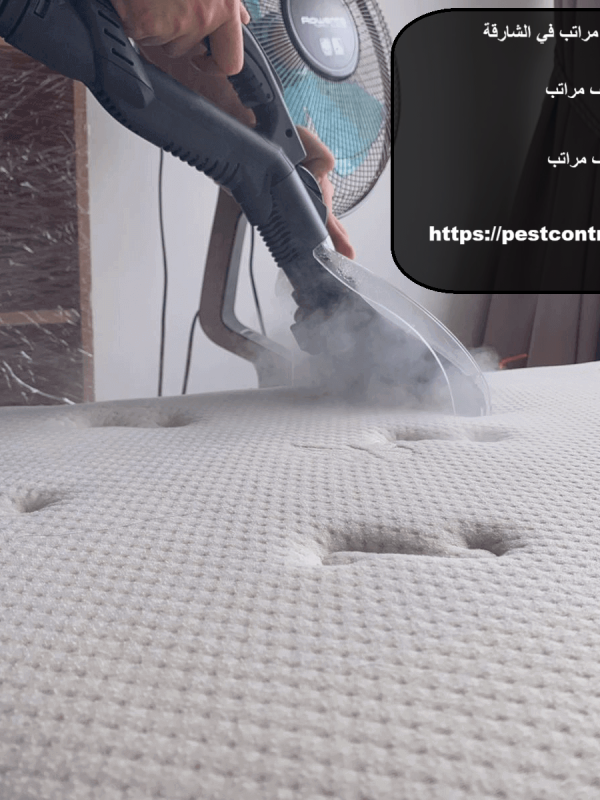 أفضل شركة تنظيف مراتب في الشارقة