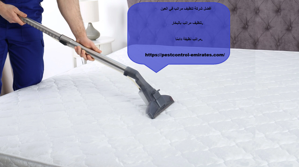 أفضل شركة تنظيف مراتب في العين