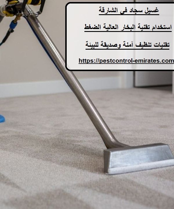 غسيل سجاد في الشارقة