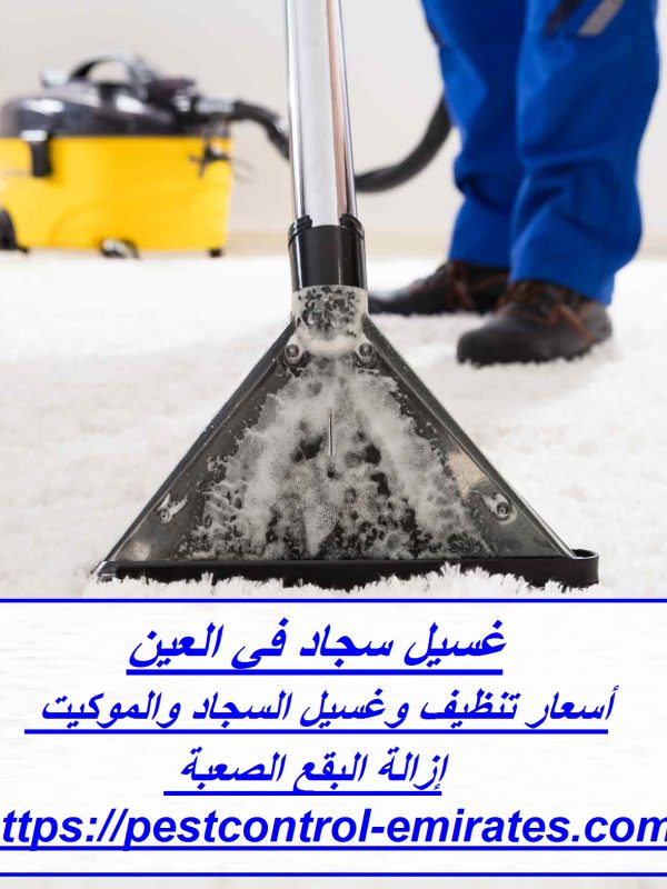 غسيل سجاد في العين