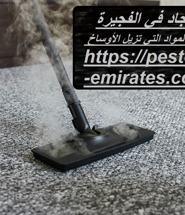 غسيل سجاد في الفجيرة