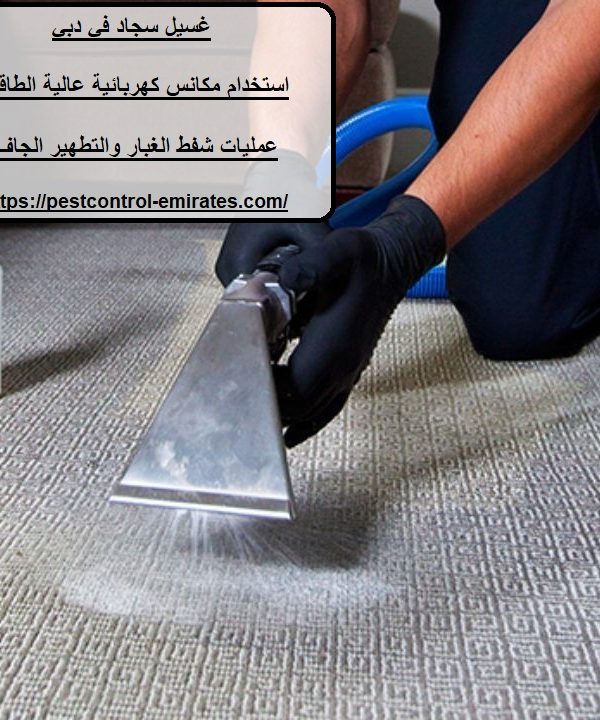 غسيل سجاد في دبي