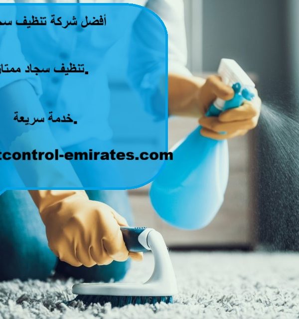 أفضل شركة تنظيف سجاد دبي