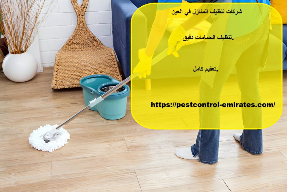 شركات تنظيف المنازل في العين