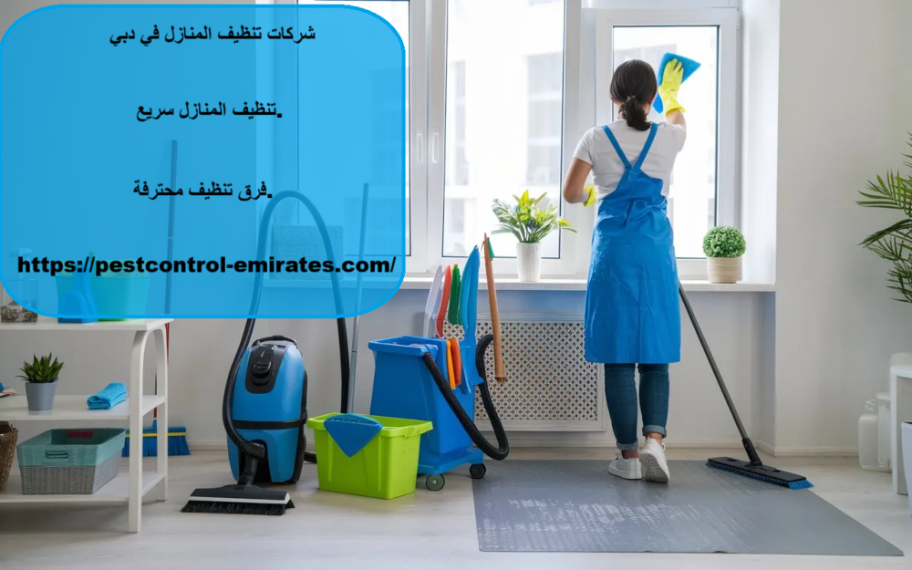 شركات تنظيف المنازل في دبي