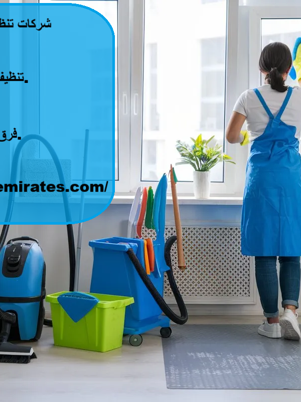 شركات تنظيف المنازل في دبي