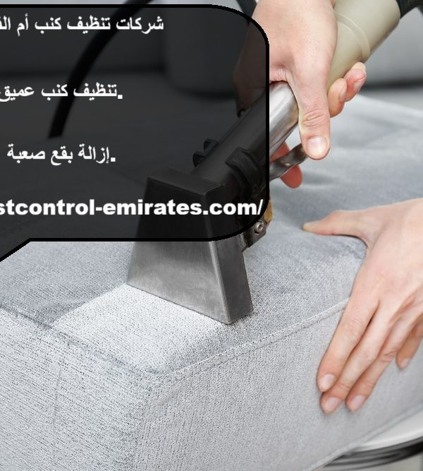 شركات تنظيف كنب أم القيوين