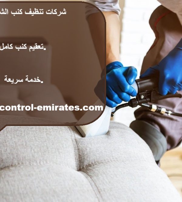 شركات تنظيف كنب الشارقة