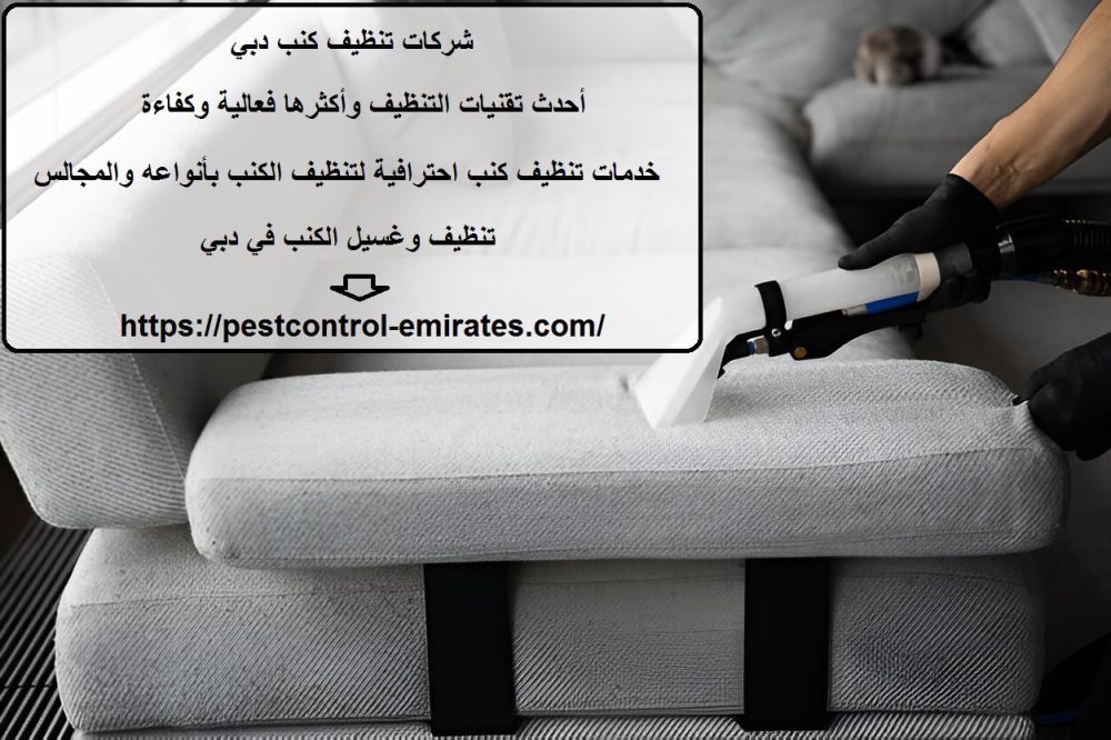 شركات تنظيف كنب دبي