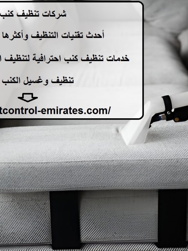 شركات تنظيف كنب دبي